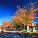 Oakwood maple in the fall