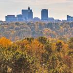 Above Raleigh's canopy of leaves