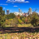 Fall scene from Dorothea Dix with Raleigh skyline