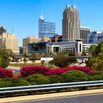 2013 Downtown Raleigh Skyline with spring blooms