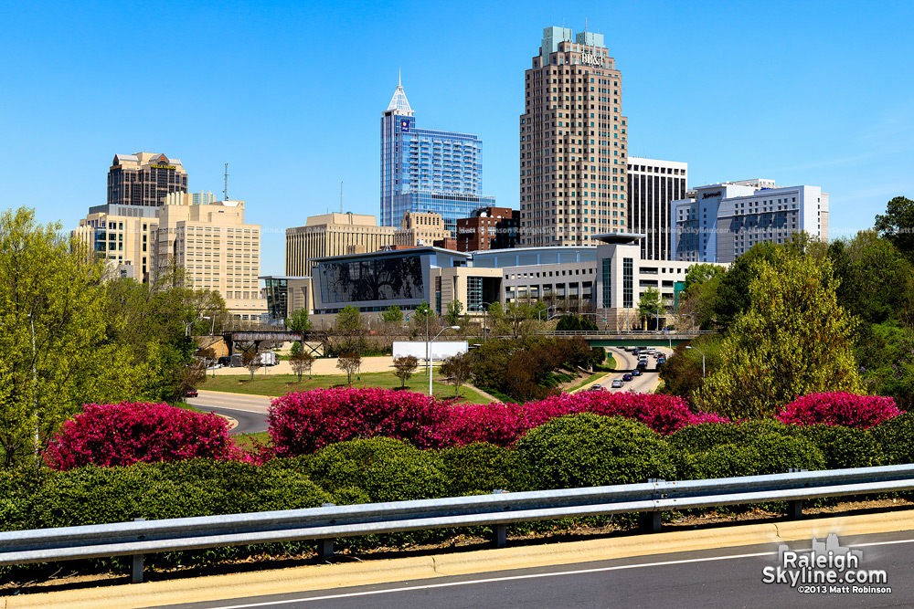 2013 Downtown Raleigh Skyline with spring blooms
