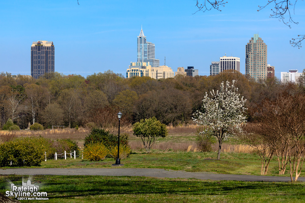 Spring skyline 2013