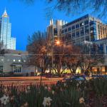 Twilight daffodils from Nash Square