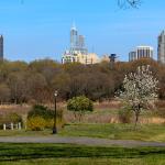 Spring skyline 2013