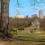 A late spring in Raleigh, 2013