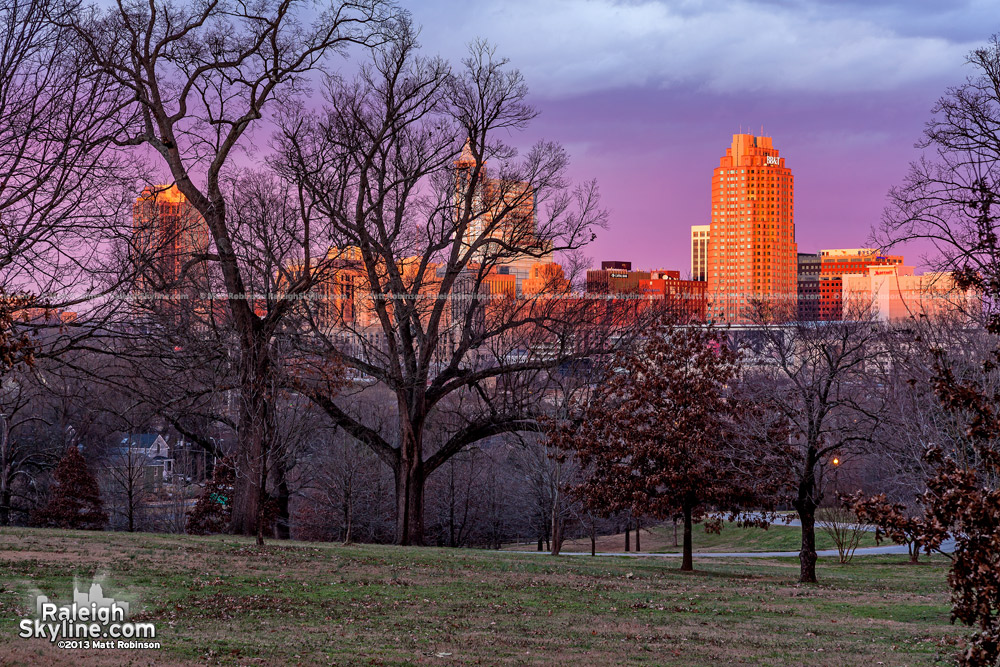 Winter trees with Raleigh Skyline