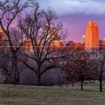 Winter trees with Raleigh Skyline