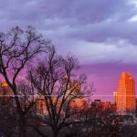 Winter trees with Raleigh Skyline