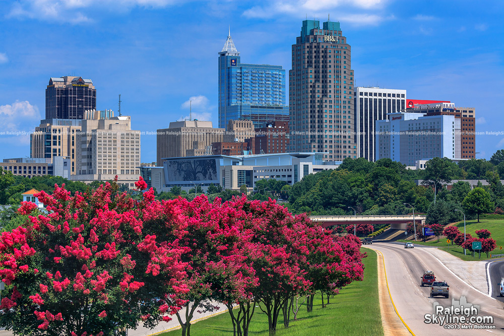 Crepe Myrtles with the Raleigh Skyline 2013