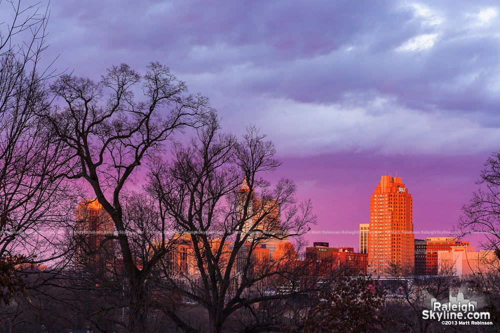 Winter trees with Raleigh Skyline