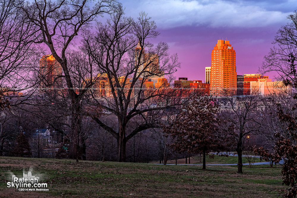 Old trees on Dix Hill with purple sunset over Downtown Raleigh - February 3, 2013