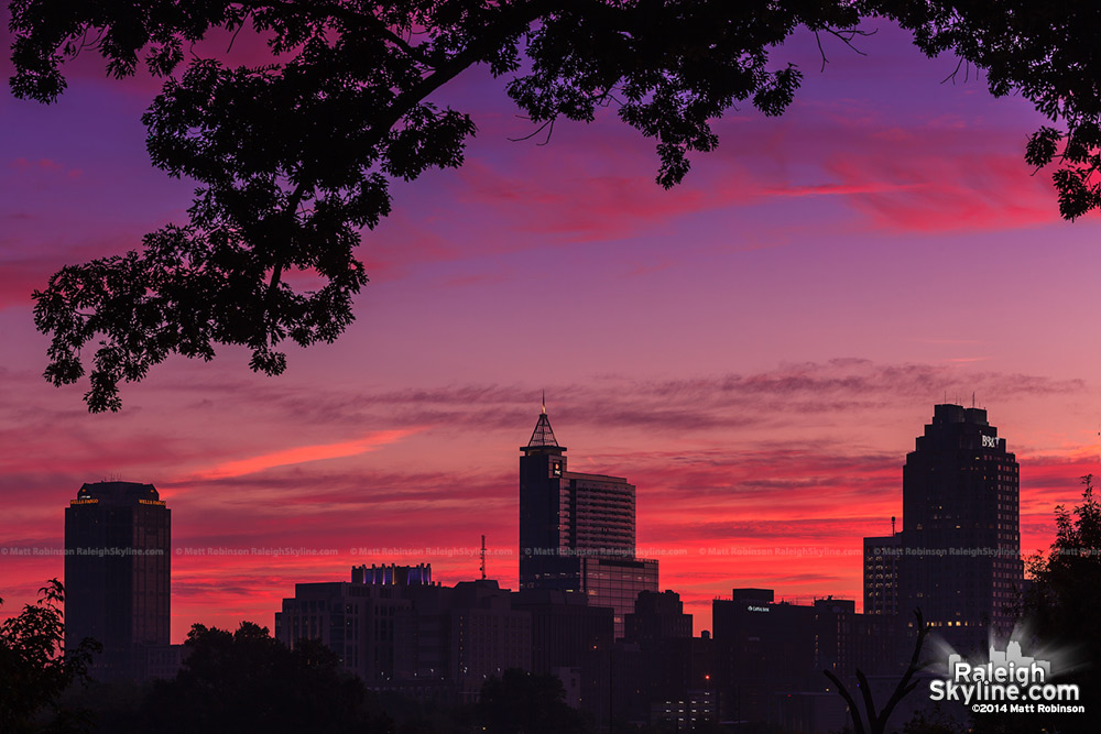 Pink and Purple sunrise over Raleigh - October 3, 2013