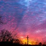 Caraleigh Sunset - January 23, 2014