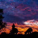 Beau catches a ball with a friend at sunset - November 11, 2010