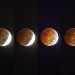 Lunar eclipse of October 8, 2014 from Raleigh