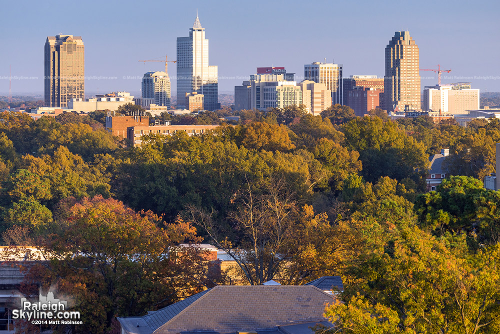 Raleigh Skyline from DH Hill in Autumn