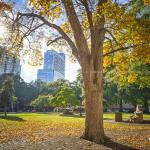 Autumn Moore Square with PNC Plaza 