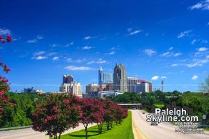 Raleigh Skyline late summer 2014