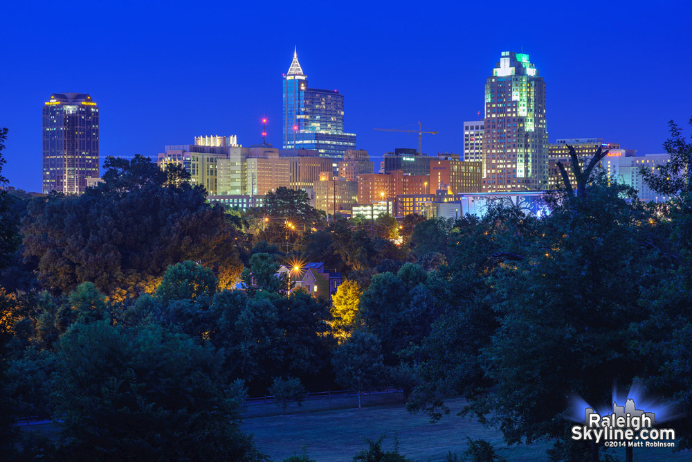 Dorothea Dix Skyline at night