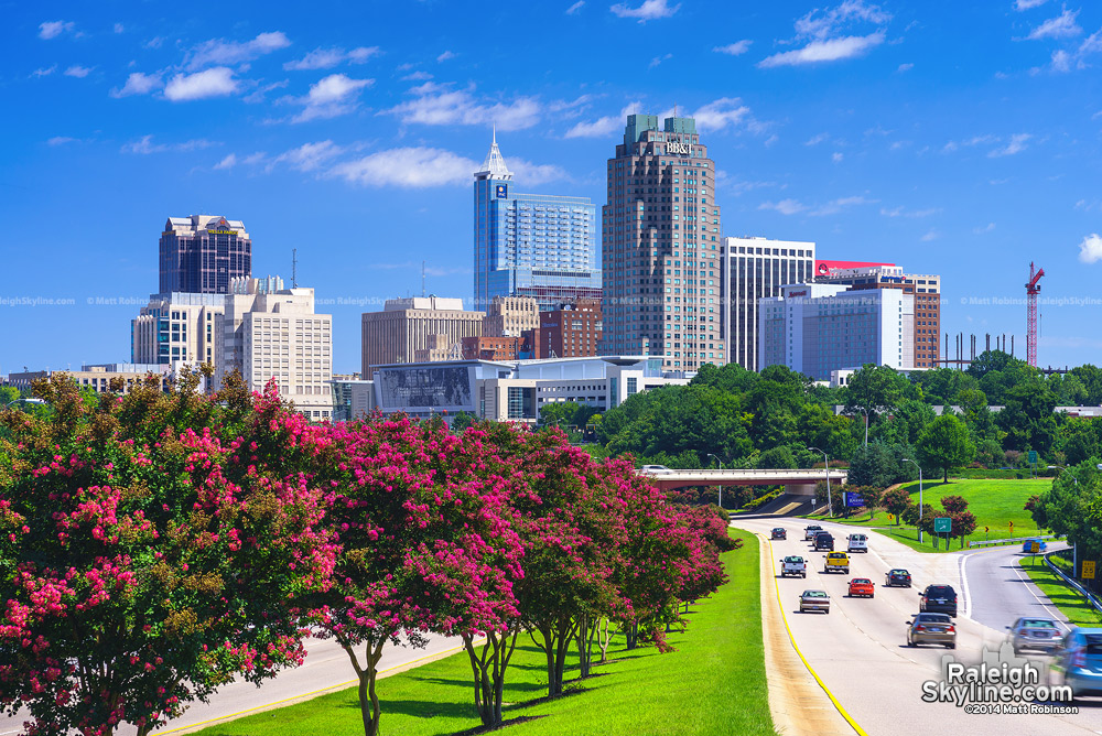 Crepe Myrtle blooms in August with Downtown Raleigh