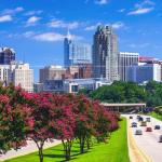 Crepe Myrtle blooms in August with Downtown Raleigh