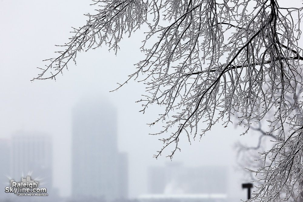 Downtown with glazed trees