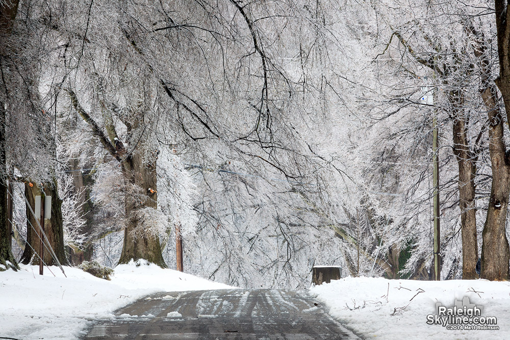 Winter Wonderland at Dorothea Dix on February 13, 2014