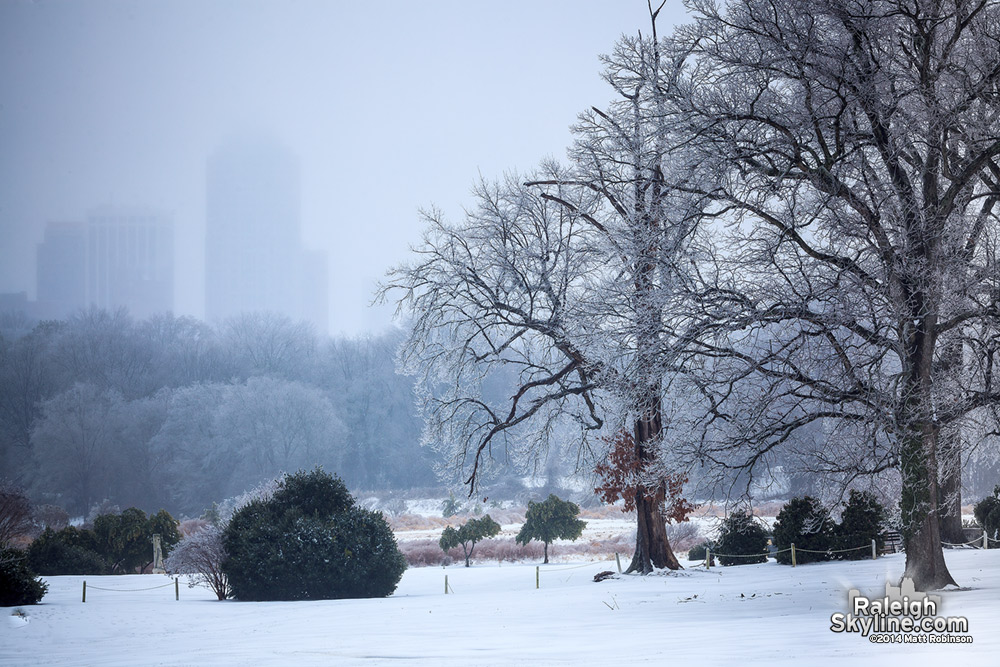 Winter icy trees with downtown Raleigh