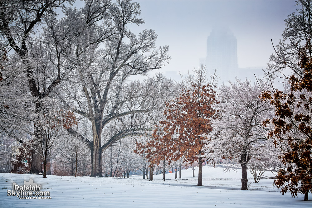 Downtown Raleigh Ice Storm Landscape