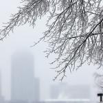 Downtown with glazed trees