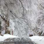 Winter Wonderland at Dorothea Dix on February 13, 2014