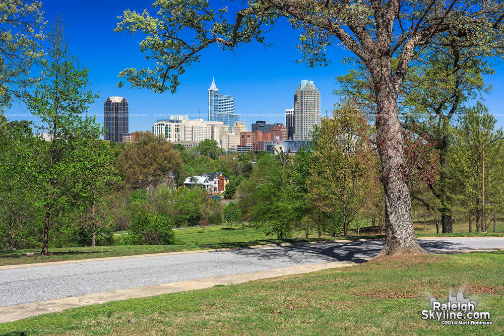 Raleigh Skyline from Dix Hill in the spring