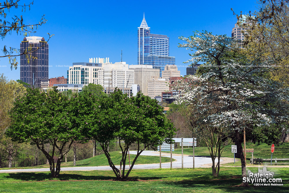 Spring Raleigh Skyline