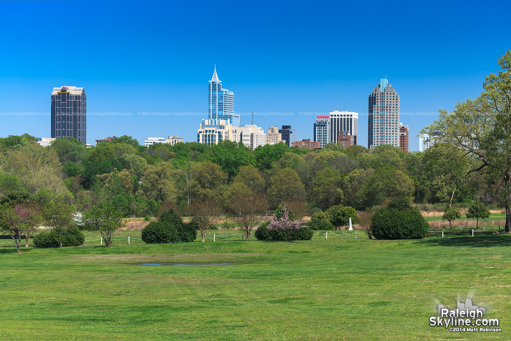 Blue Skies over downtown Raleigh in the springtime