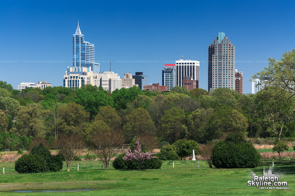 Sunny day in Downtown Raleigh