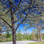 Dogwood tree with downtown Raleigh in the spring