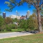 Raleigh Skyline from Dix Hill in the spring