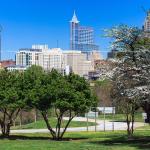 Spring Raleigh Skyline