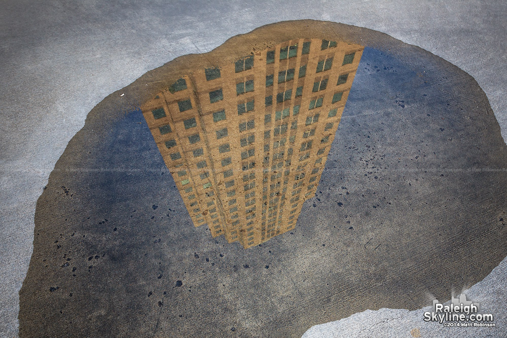 Tears of former employees formed this poignant reflecting puddle