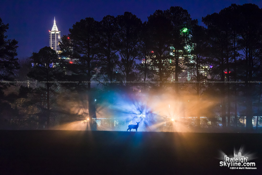 Downtown Raleigh seen through trees with fog and deer