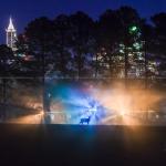 Downtown Raleigh seen through trees with fog and deer