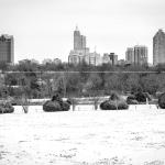 Snow covered Black and White Raleigh skyline