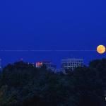 Supermoon and the Raleigh Skyline 2014