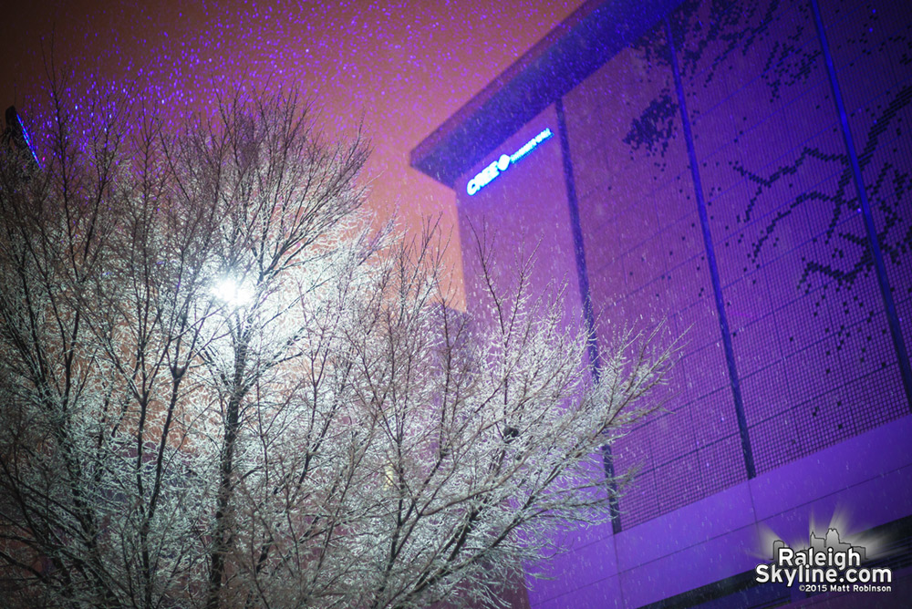 Snow covered tree with Shimmer Wall