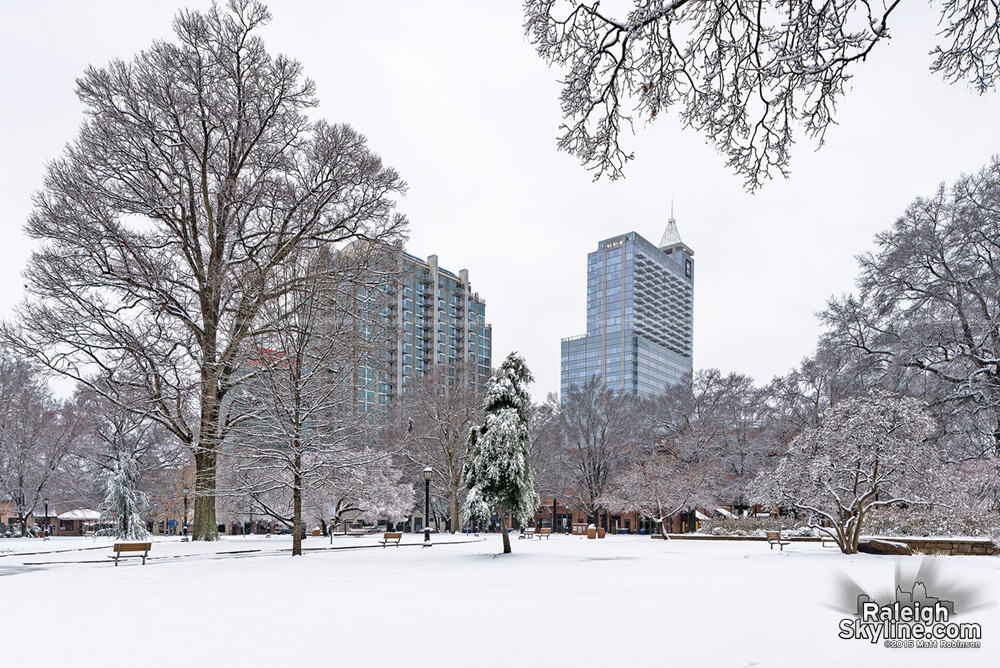 Winter Scene in Downtown Raleigh