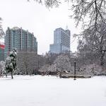 Moore Square in the winter