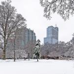 Winter Scene in Downtown Raleigh