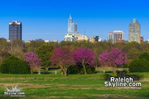 Downtown Raleigh in the Spring 2015