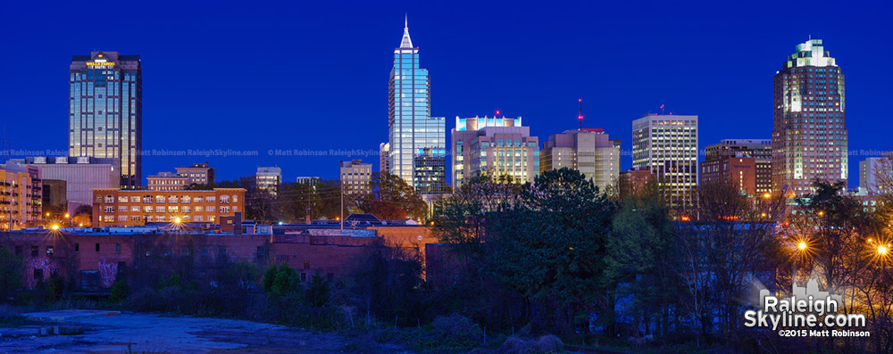 2015 Raleigh Skyline Panorama 