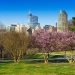 Raleigh skyline in the spring 2015 from Dorothea Dix